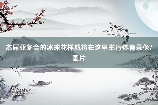 本届亚冬会的冰球花样就将在这里举行体育录像/图片