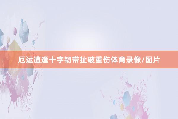 厄运遭逢十字韧带扯破重伤体育录像/图片