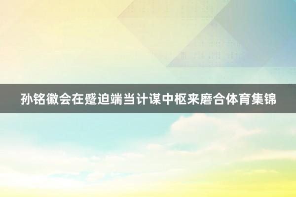 孙铭徽会在蹙迫端当计谋中枢来磨合体育集锦