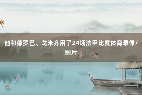 他和德罗巴、戈米齐用了24场法甲比赛体育录像/图片