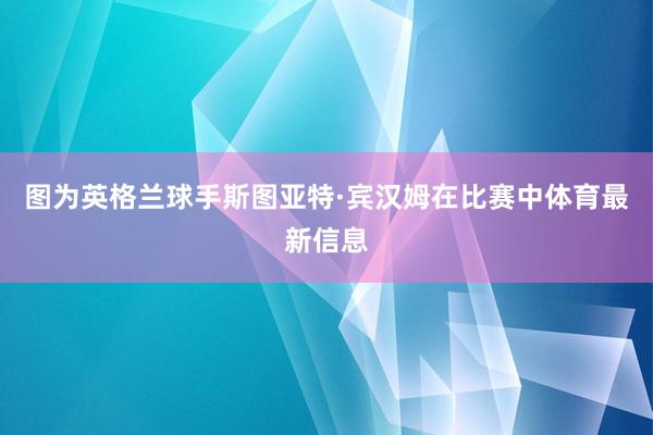 图为英格兰球手斯图亚特·宾汉姆在比赛中体育最新信息