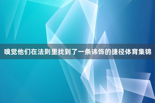 嗅觉他们在法则里找到了一条讳饰的捷径体育集锦