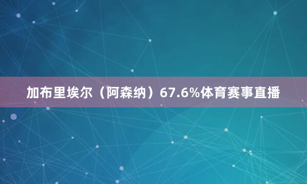 加布里埃尔（阿森纳）67.6%体育赛事直播