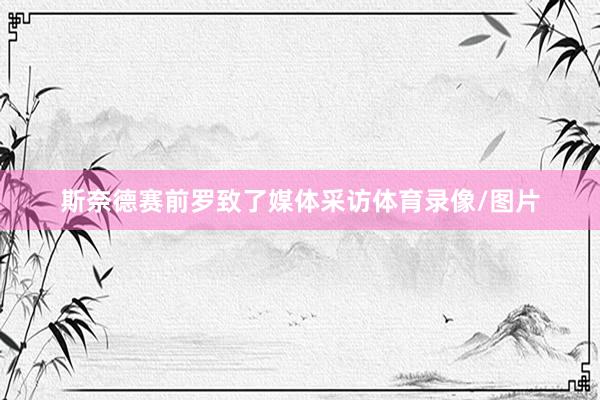 斯奈德赛前罗致了媒体采访体育录像/图片
