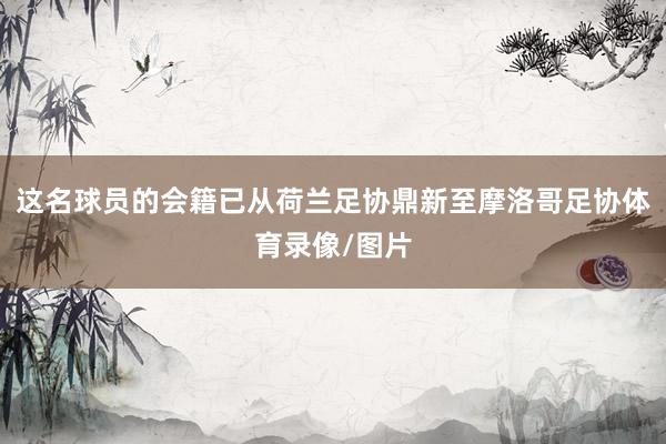 这名球员的会籍已从荷兰足协鼎新至摩洛哥足协体育录像/图片