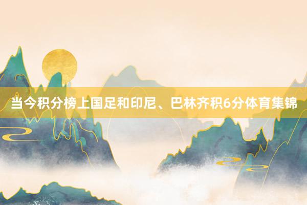 当今积分榜上国足和印尼、巴林齐积6分体育集锦