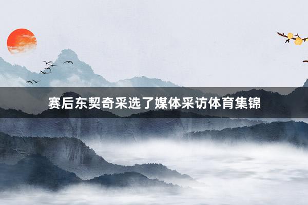赛后东契奇采选了媒体采访体育集锦