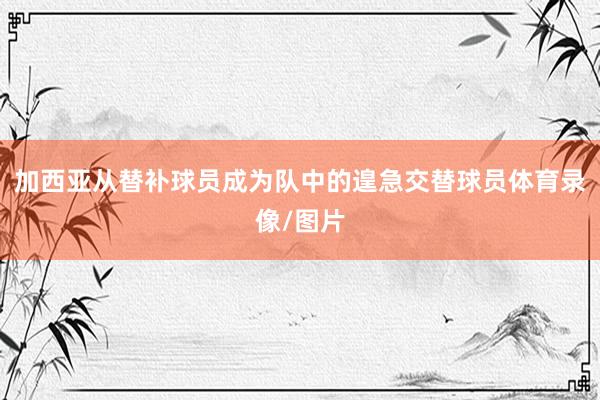 加西亚从替补球员成为队中的遑急交替球员体育录像/图片