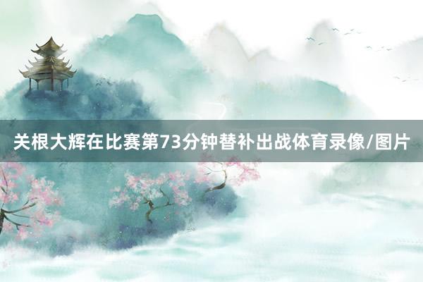 关根大辉在比赛第73分钟替补出战体育录像/图片