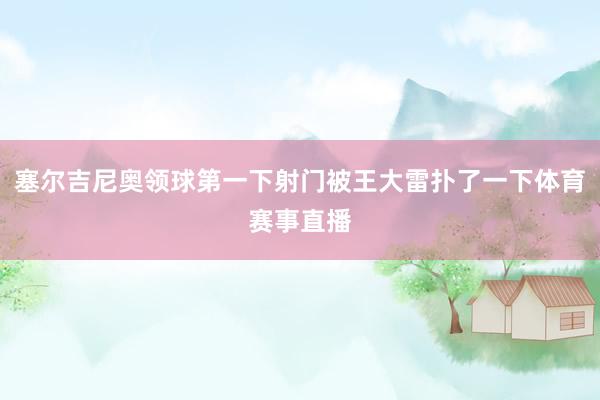 塞尔吉尼奥领球第一下射门被王大雷扑了一下体育赛事直播