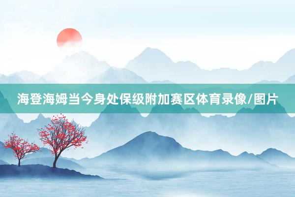 海登海姆当今身处保级附加赛区体育录像/图片