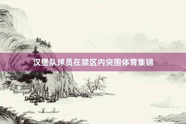 汉堡队球员在禁区内突围体育集锦