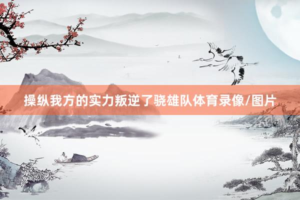 操纵我方的实力叛逆了骁雄队体育录像/图片
