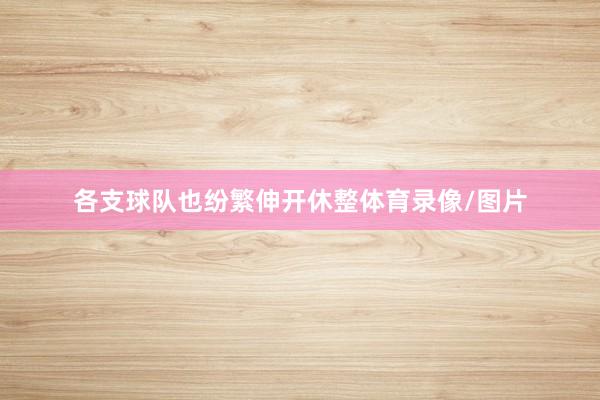 各支球队也纷繁伸开休整体育录像/图片