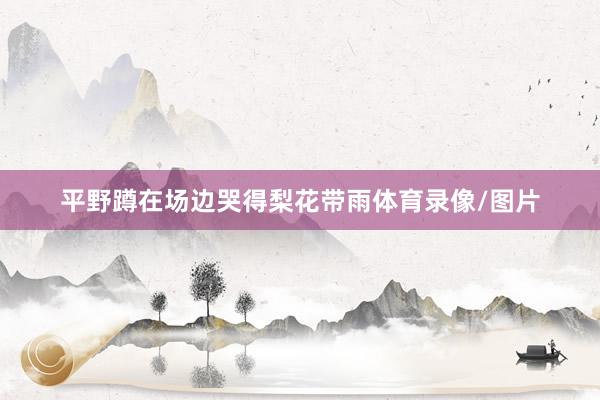 平野蹲在场边哭得梨花带雨体育录像/图片