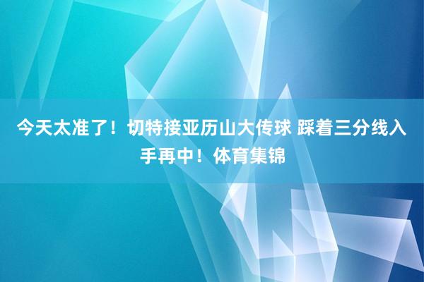 今天太准了！切特接亚历山大传球 踩着三分线入手再中！体育集锦