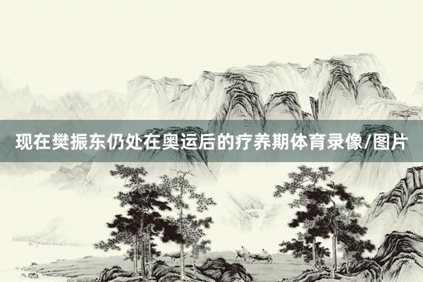 现在樊振东仍处在奥运后的疗养期体育录像/图片