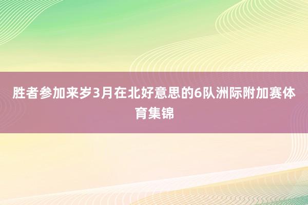 胜者参加来岁3月在北好意思的6队洲际附加赛体育集锦