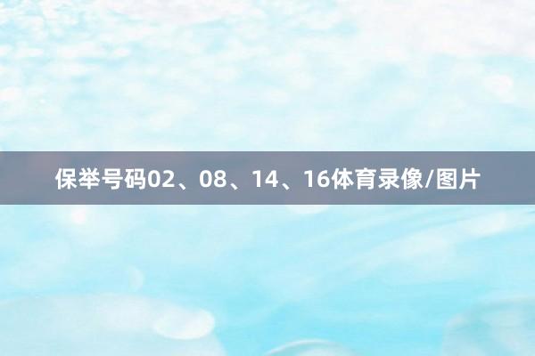 保举号码02、08、14、16体育录像/图片