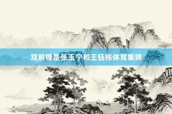 双前锋是张玉宁和王钰栋体育集锦