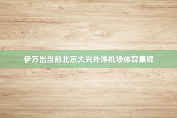 伊万出当前北京大兴外洋机场体育集锦