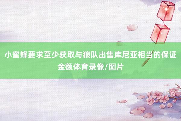 小蜜蜂要求至少获取与狼队出售库尼亚相当的保证金额体育录像/图片