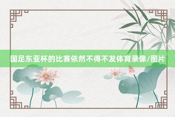 国足东亚杯的比赛依然不得不发体育录像/图片