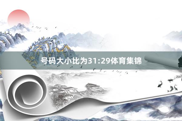 号码大小比为31:29体育集锦