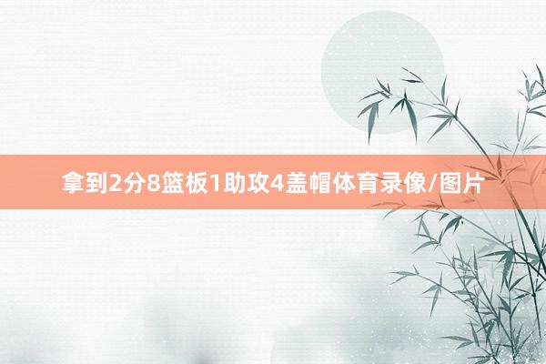 拿到2分8篮板1助攻4盖帽体育录像/图片