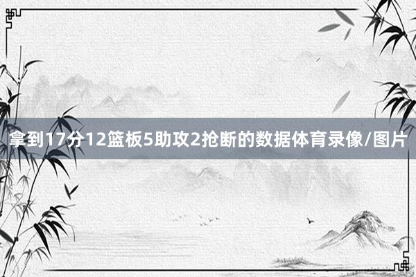 拿到17分12篮板5助攻2抢断的数据体育录像/图片