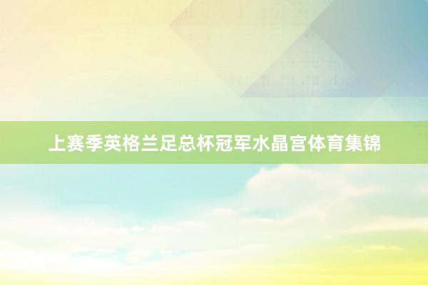 上赛季英格兰足总杯冠军水晶宫体育集锦