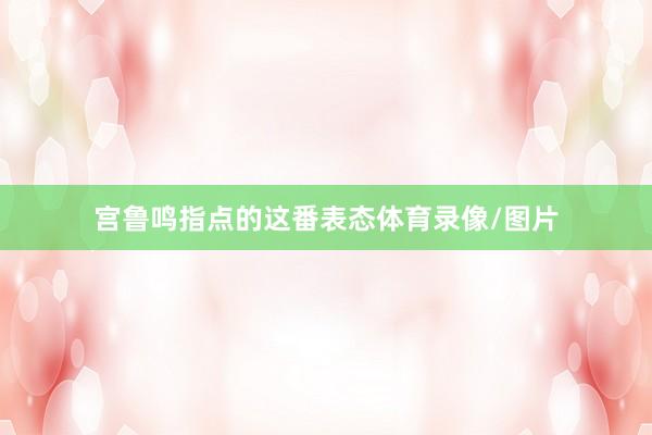 宫鲁鸣指点的这番表态体育录像/图片