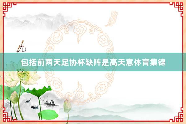 包括前两天足协杯缺阵是高天意体育集锦