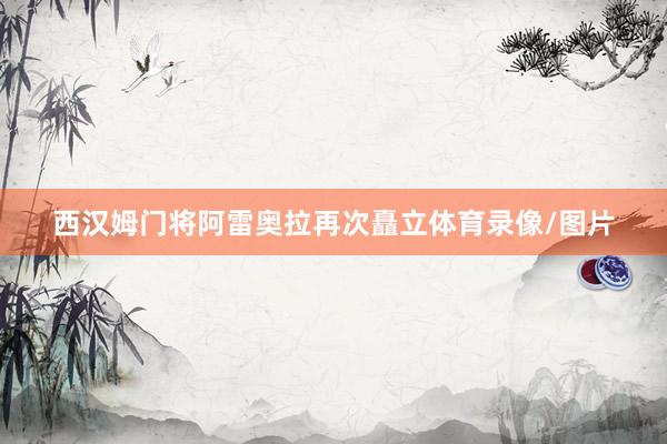 西汉姆门将阿雷奥拉再次矗立体育录像/图片