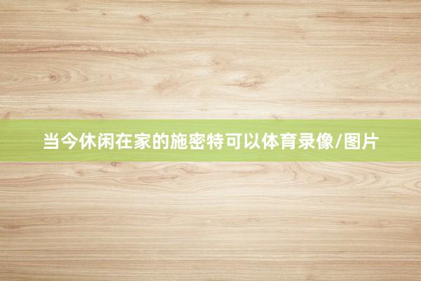 当今休闲在家的施密特可以体育录像/图片