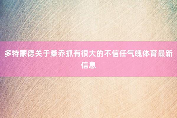 多特蒙德关于桑乔抓有很大的不信任气魄体育最新信息