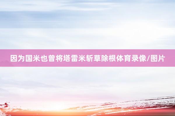 因为国米也曾将塔雷米斩草除根体育录像/图片