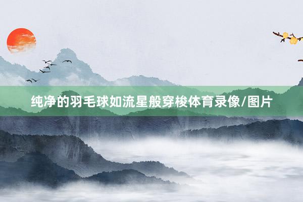 纯净的羽毛球如流星般穿梭体育录像/图片