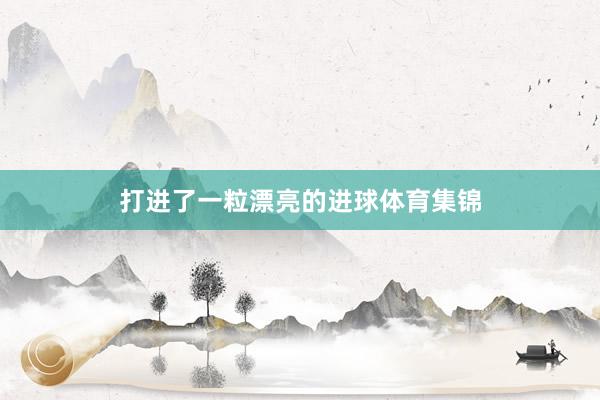 打进了一粒漂亮的进球体育集锦