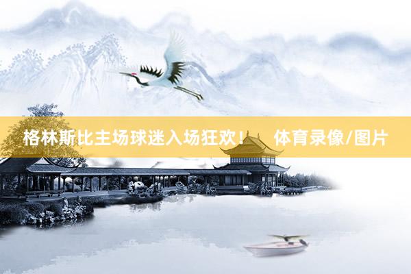 格林斯比主场球迷入场狂欢！    体育录像/图片