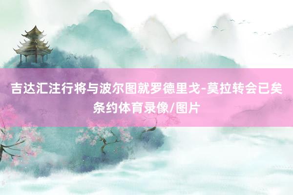 吉达汇注行将与波尔图就罗德里戈-莫拉转会已矣条约体育录像/图片