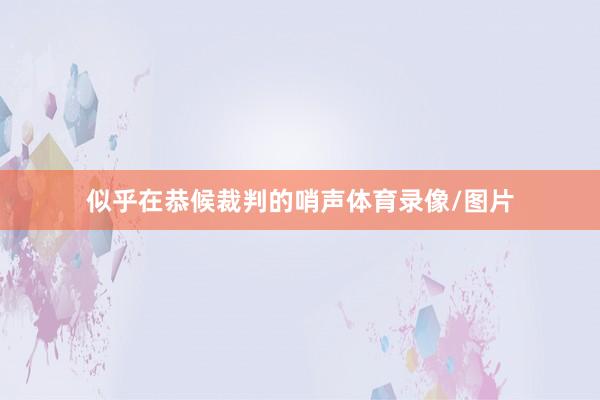 似乎在恭候裁判的哨声体育录像/图片
