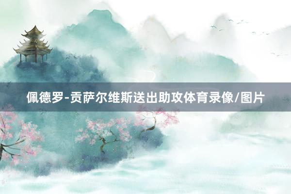 佩德罗-贡萨尔维斯送出助攻体育录像/图片