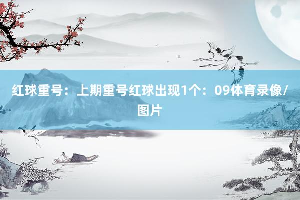 红球重号：上期重号红球出现1个：09体育录像/图片