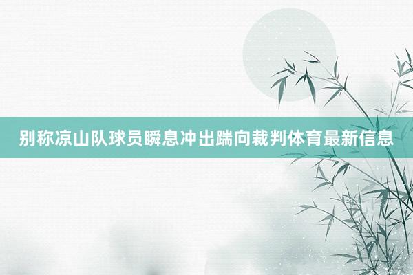 别称凉山队球员瞬息冲出踹向裁判体育最新信息