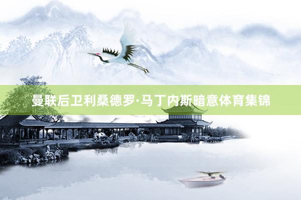 曼联后卫利桑德罗·马丁内斯暗意体育集锦