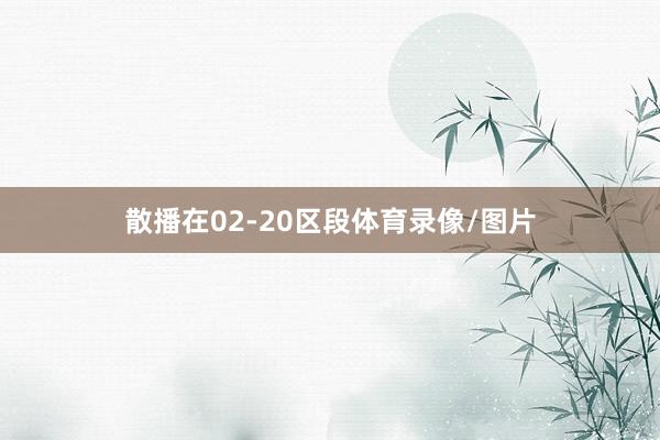 散播在02-20区段体育录像/图片