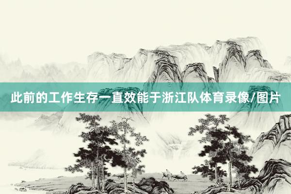 此前的工作生存一直效能于浙江队体育录像/图片