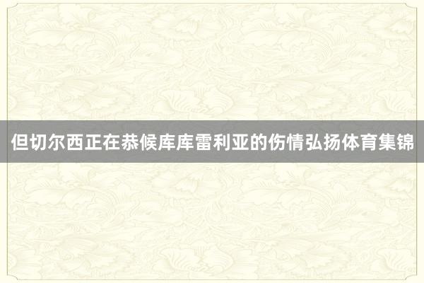 但切尔西正在恭候库库雷利亚的伤情弘扬体育集锦