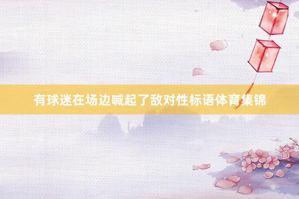 有球迷在场边喊起了敌对性标语体育集锦